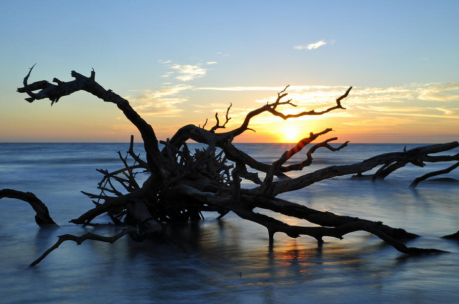 Sunrise at Driftwood Beach 7.4 Photograph by Bruce Gourley