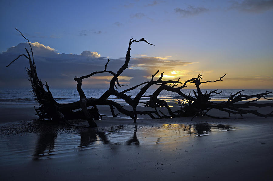 Sunrise at Driftwood Beach 7.5 Photograph by Bruce Gourley
