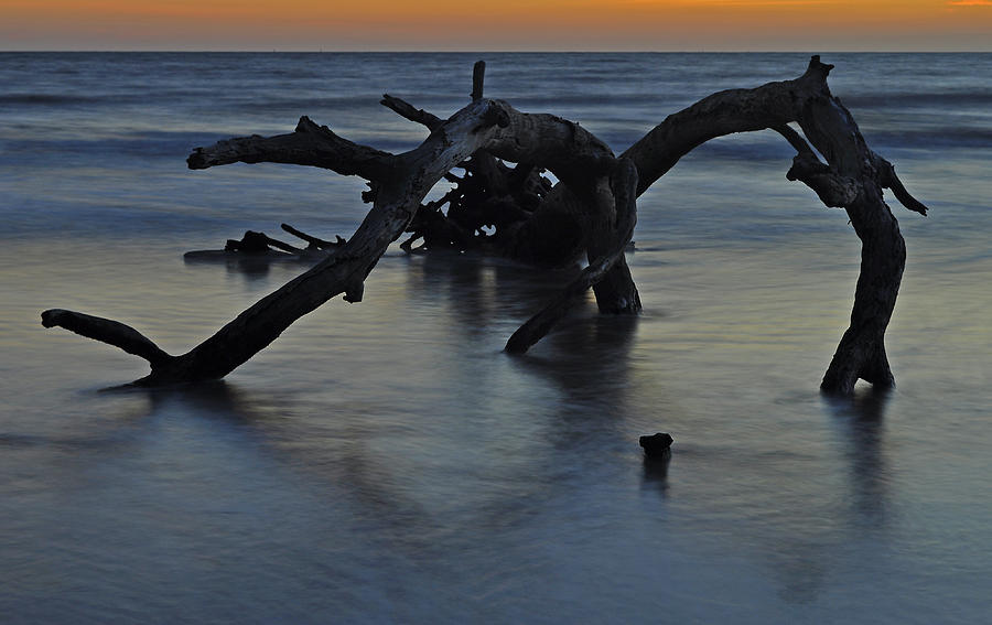 Sunrise at Driftwood Beach 7.7 Photograph by Bruce Gourley