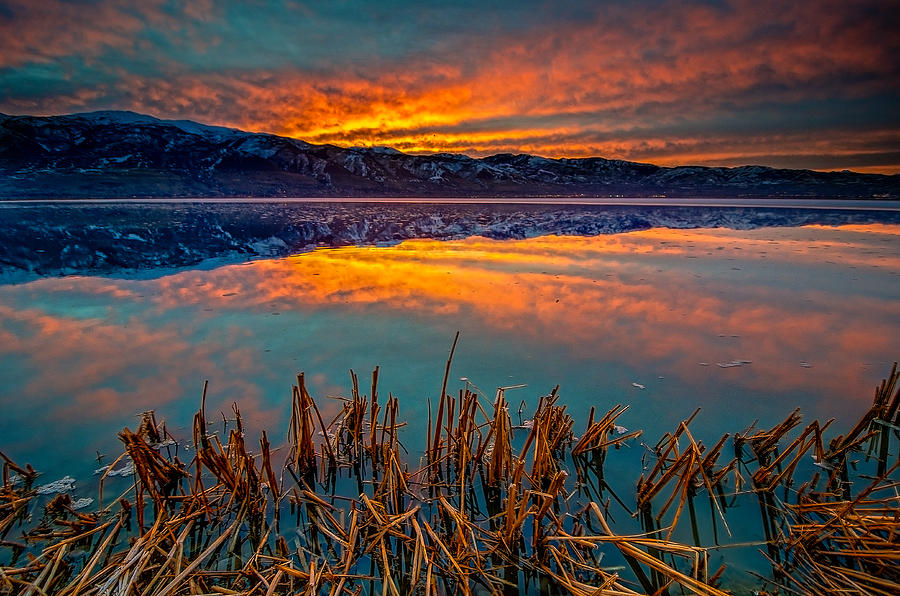 Sunrise at Farmington Bay Photograph by Michael Ash