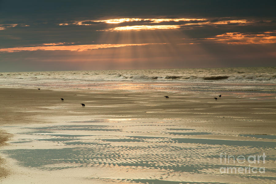 Sunrise at Folly Beach Photograph by Iris Greenwell