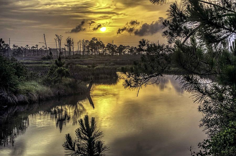 Michael Thomas Digital Art - Sunrise at Gulf Shores Bayou by Michael Thomas