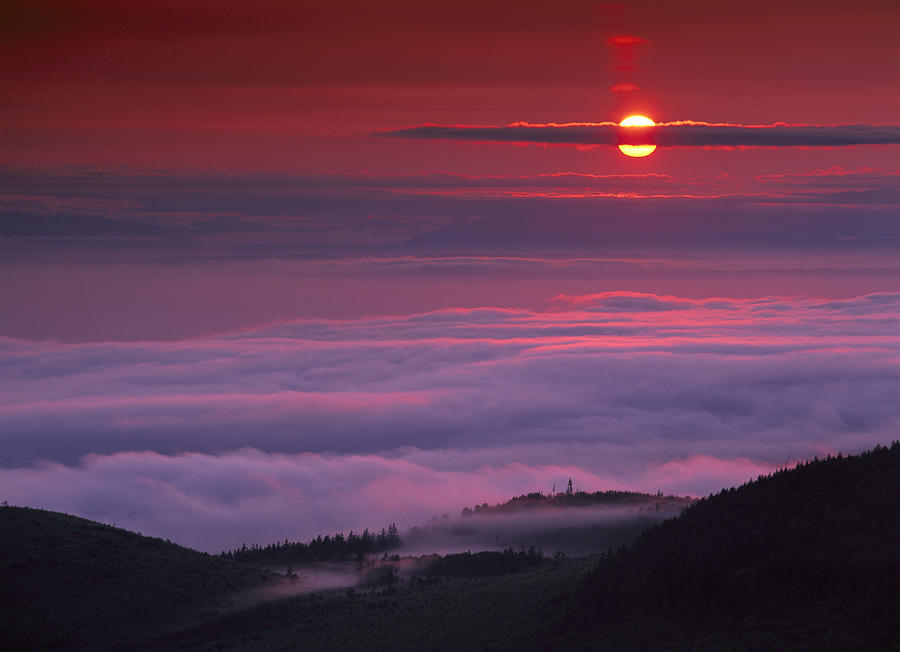 Sunrise At Hurricane Ridge Photograph by Tim Fitzharris
