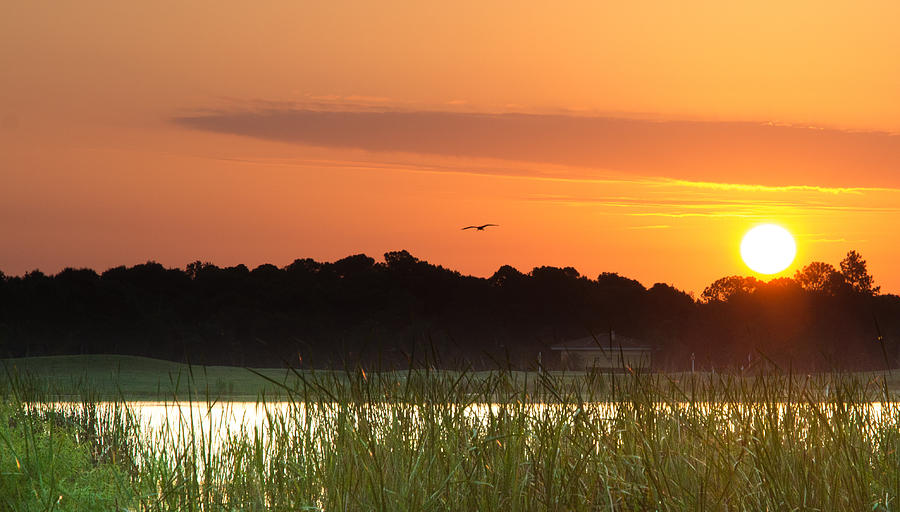 Sunrise at Lakewood Ranch Florida Photograph by Richard Goldman