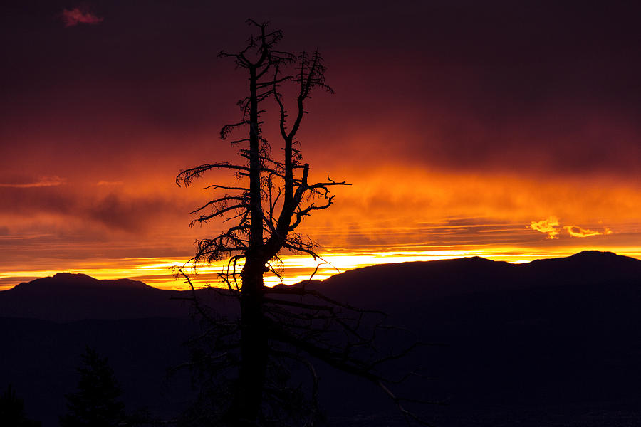 Sunrise at Lone Tree Photograph by Randy Wehner