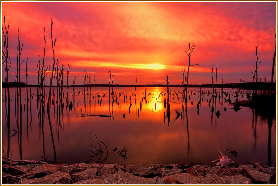 Sunrise At Manasquan Reservior In Howell New Jersey Photograph