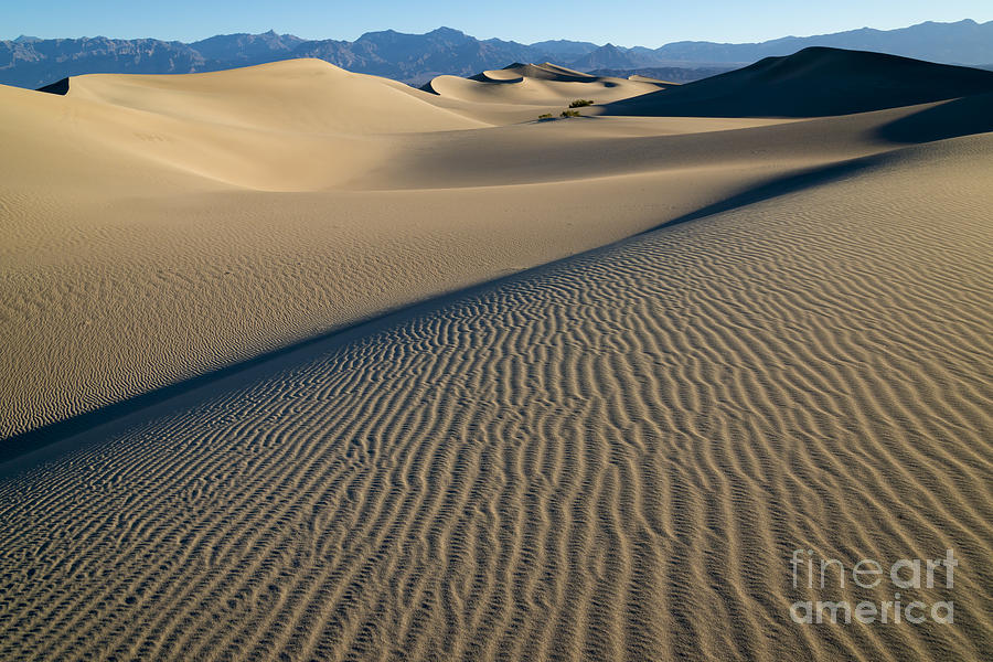 Pattern Photograph - Sunrise at Mesquite Flat Sand Dunes by Sandra Bronstein