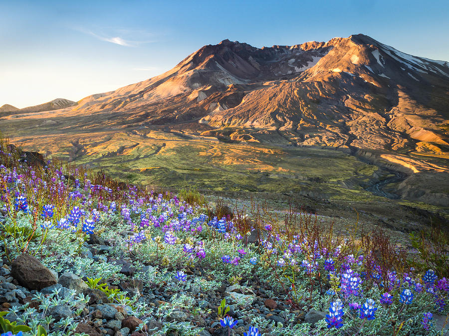 Sunrise at Mount St. Helens Photograph by Kyle Wasielewski