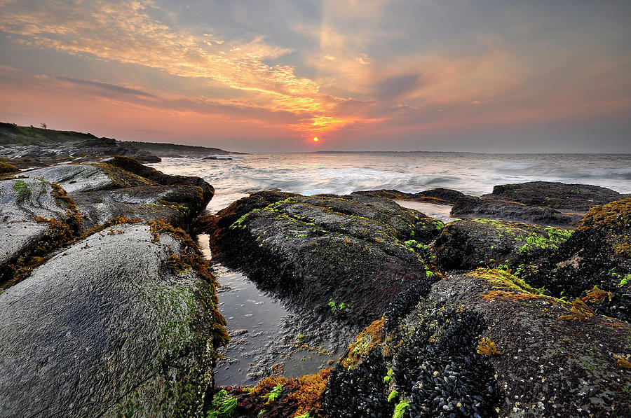 Sunrise At Newport Bay, Rhode Island Photograph by Shobeir Ansari