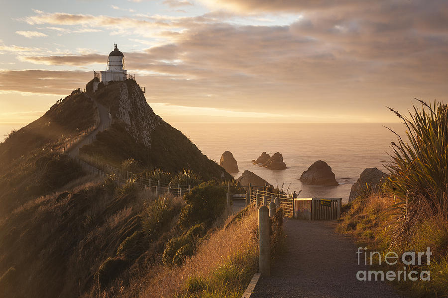 Sunrise At Nugget Point Otago New Zealand Photograph By Colin And Linda Mckie Pixels 4985