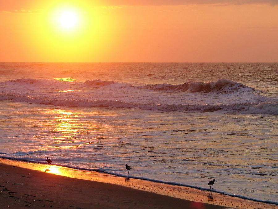 Sunrise at Ocean Isle Photograph by Kelly Nowak
