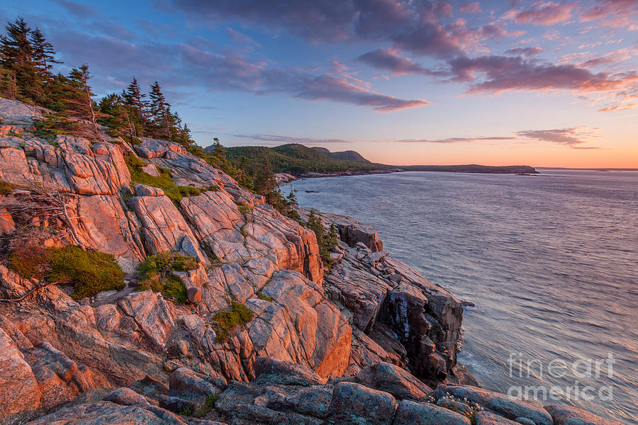Sunrise at Otter Cliffs in Acadia  Photograph by Susan Cole Kelly