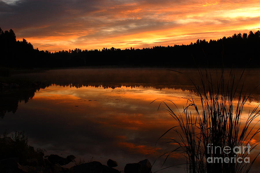 Nature Photograph - Sunrise at Stockton Lake by Steven Reed