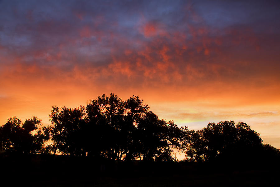 Sunrise at Stroh Ranch Photograph by Morris McClung