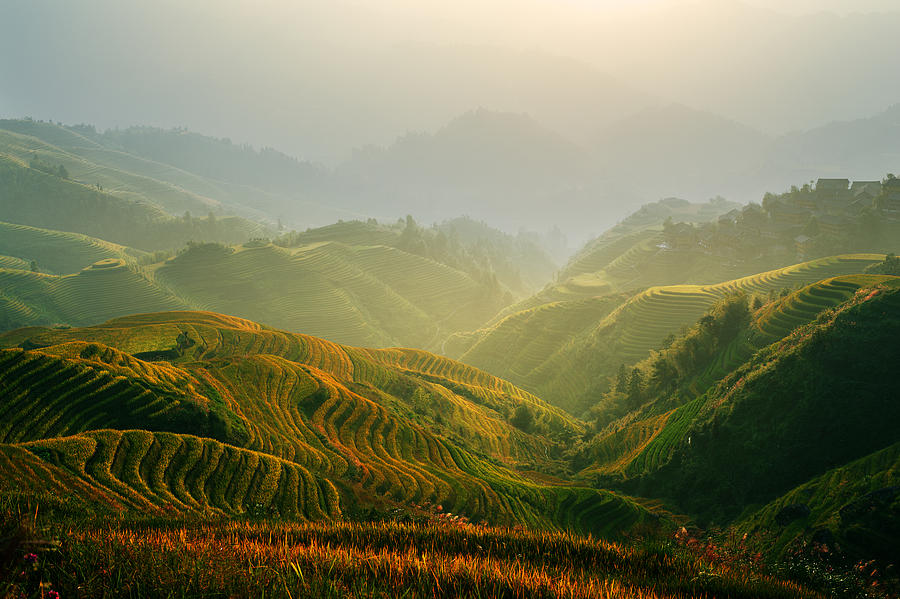 Sunrise at Terrace in Guangxi China 3 Photograph by Afrison Ma