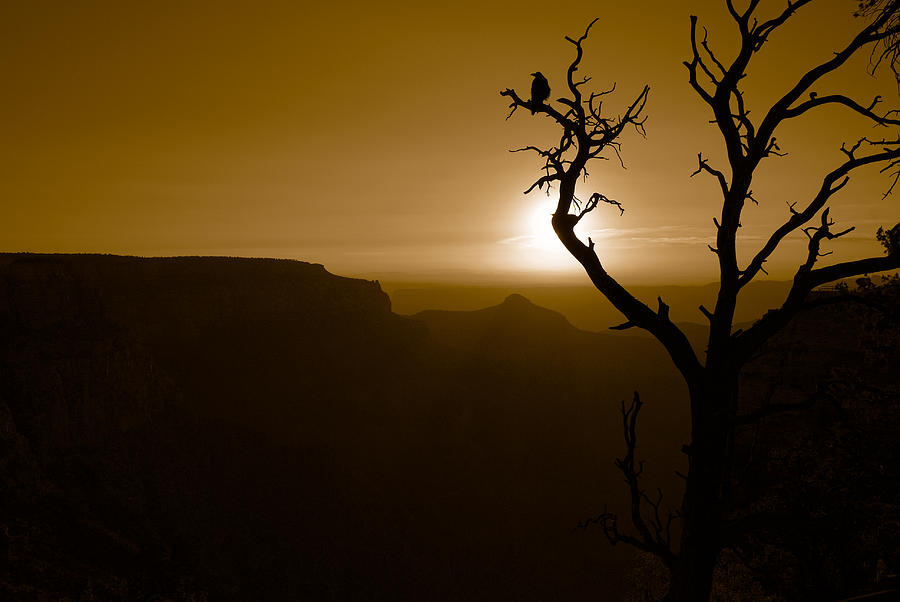 Sunrise at the Grand Canyon Photograph by Daniel Woodrum