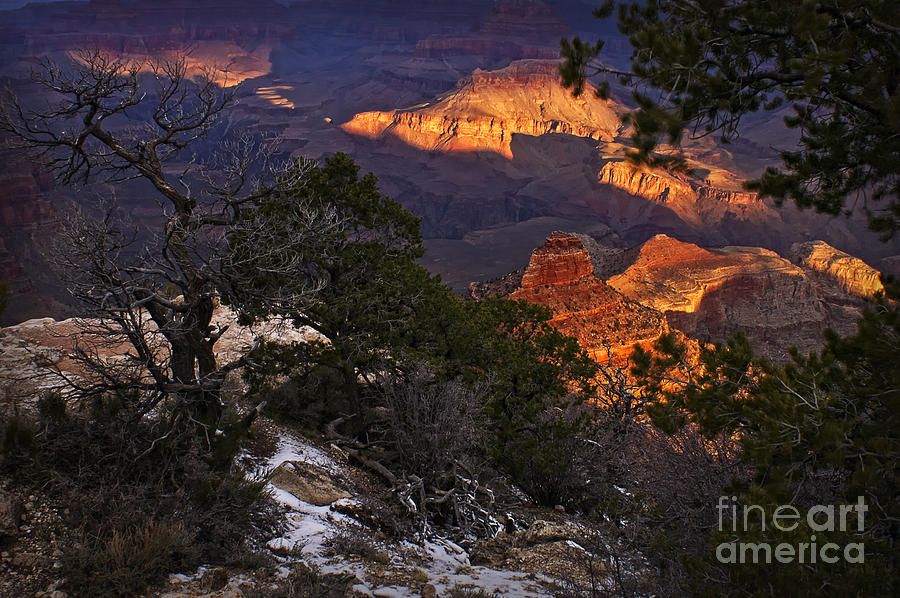 Sunrise at the Grand Canyon Photograph by Priscilla Burgers