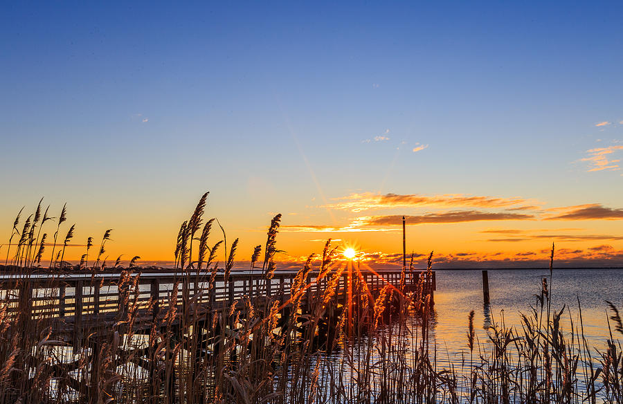 Sunrise At The Marina Photograph by Sean Mills