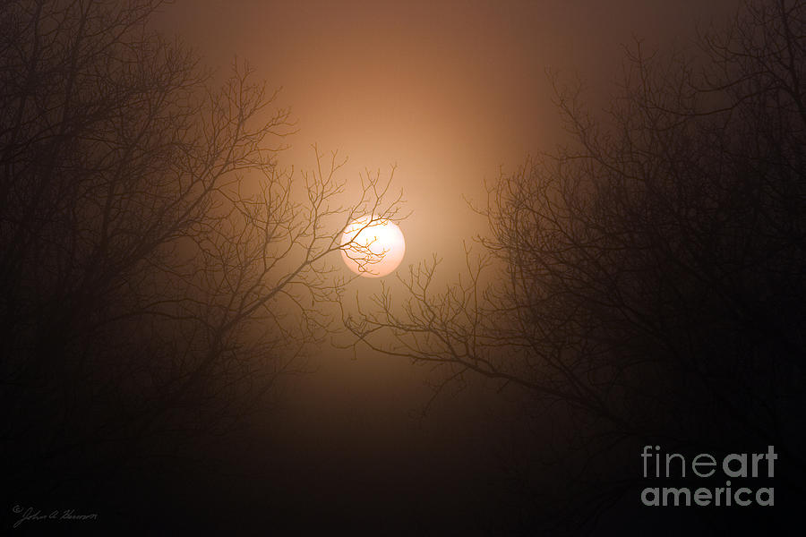 Sunrise  at the Pecan Grove Southern Alabama Photograph by John Harmon