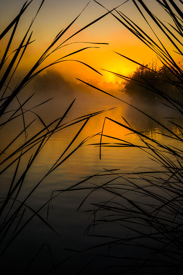 Sunrise at the Sepulveda Dam Wildlife Reserve Photograph by Joe Doherty