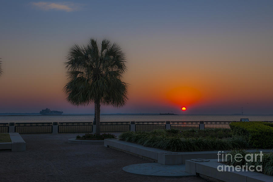 Palmetto Sunrise Charleston SC Photograph by Dale Powell