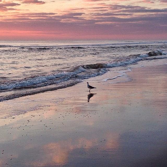 Sunrise Atlantic Beach ~ Photograph by All Is Grace