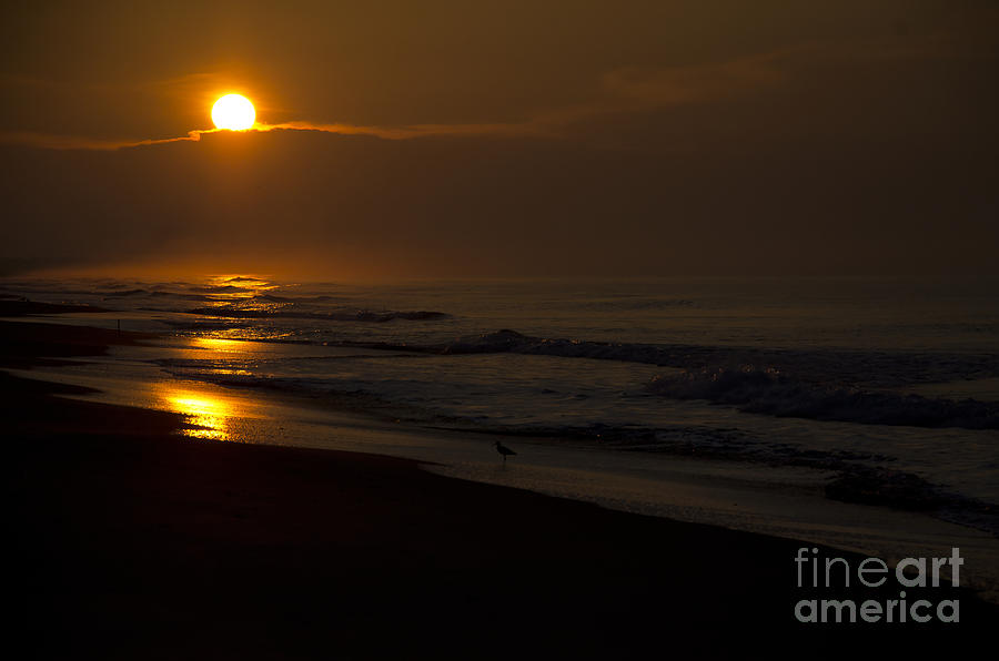 Sunrise Atlantic Beach NC Photograph by Wilma  Birdwell