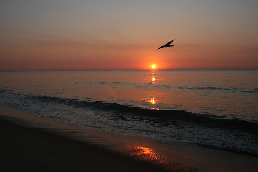 Nature Photograph - Sunrise Atlantic Ocean by Valia Bradshaw