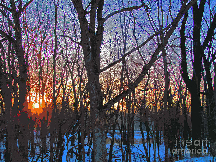 Nature Digital Art - Sunrise Behind The Trees by Adri Turner
