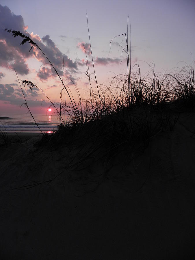 Sunrise Beyond The Dune Grass Photograph by Kim Galluzzo