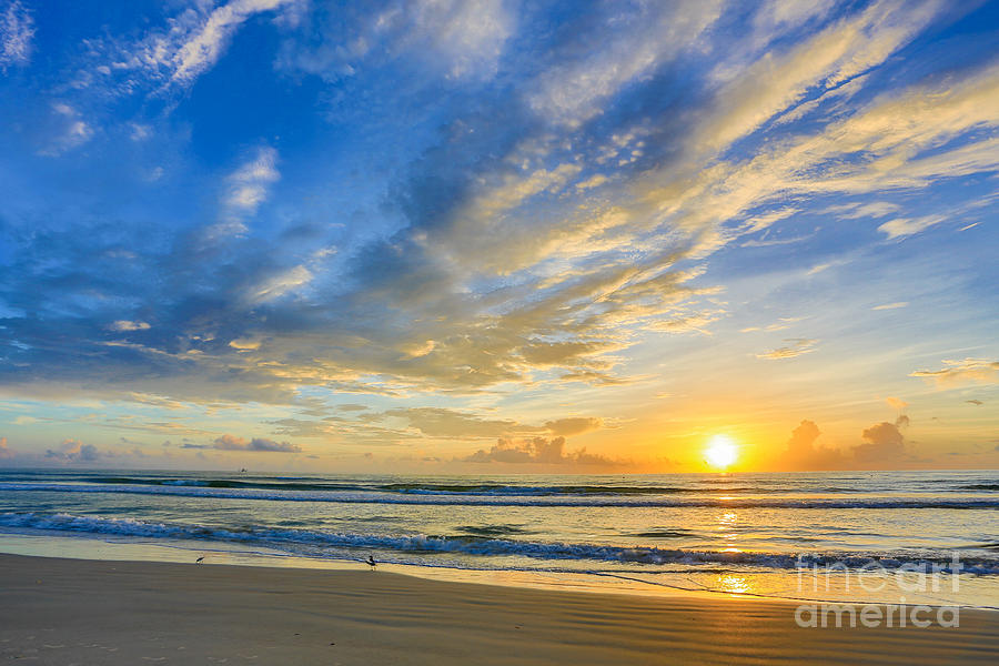 Sunrise by the Beach Photograph by Mina Isaac