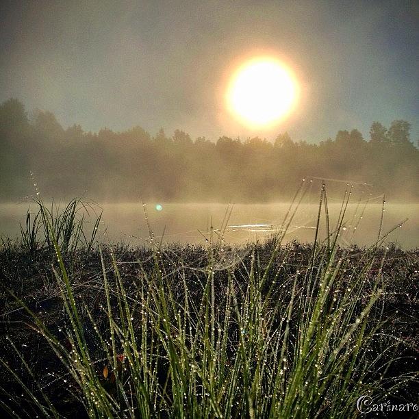 Sunrise By The Öre River, Sweden, 25 Photograph by Carina Ro