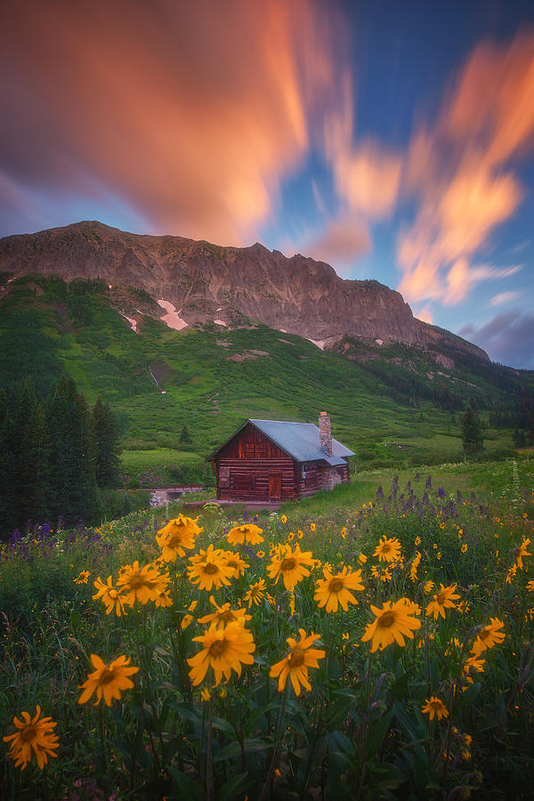 Flower Photograph - Sunrise Cabin by Darren White