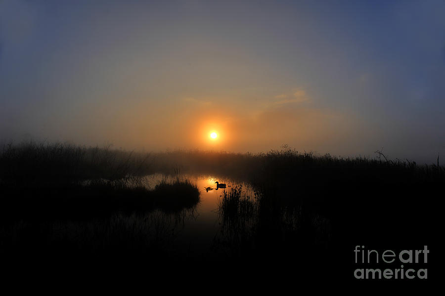 Sunrise Canaan Valley with ducks on beaver pond Photograph by Dan Friend