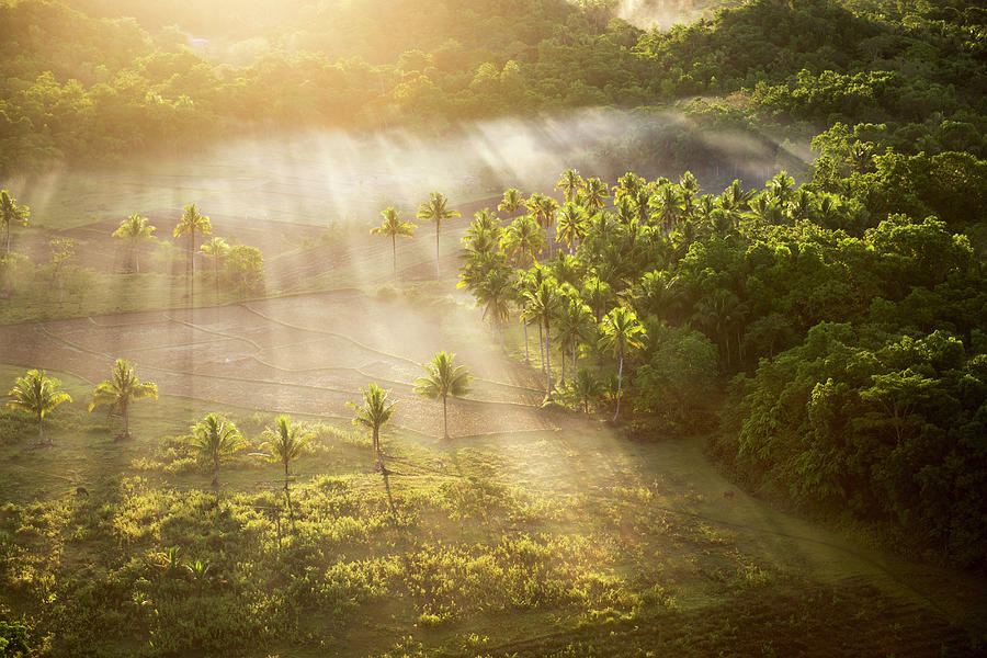 Sunrise, Chocolate Hills, Bohol Photograph by John Harper