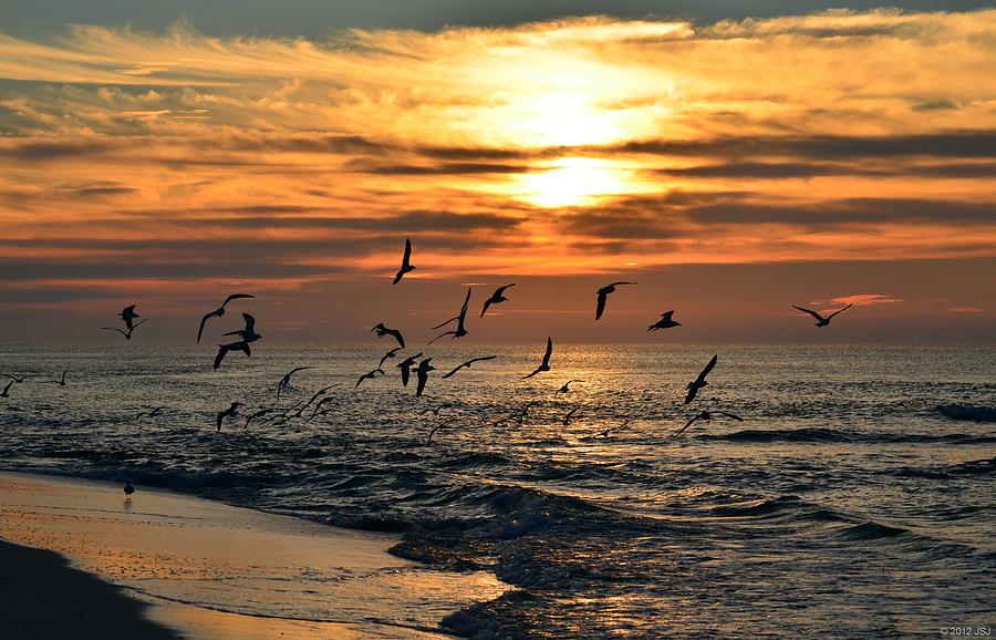 Sunrise Colors over Navarre Beach with Flock of Seagulls Photograph by Jeff at JSJ Photography
