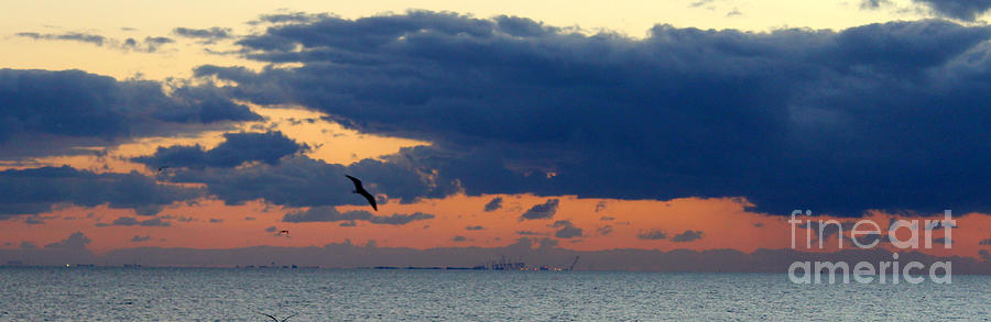 Sunrise Corpus Christi Bay Photograph