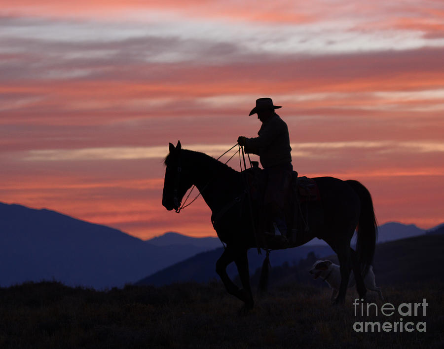 Sunrise Cowboy Photograph by Dennis Hammer