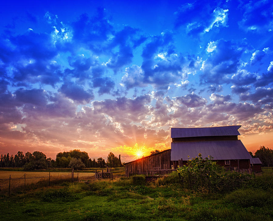 Sunrise Down On The Farm Photograph by Kriss Russell - Fine Art America