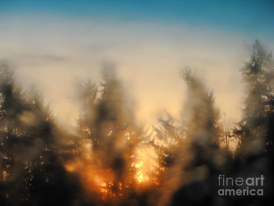 Sunrise Dream Photograph by Rory Siegel