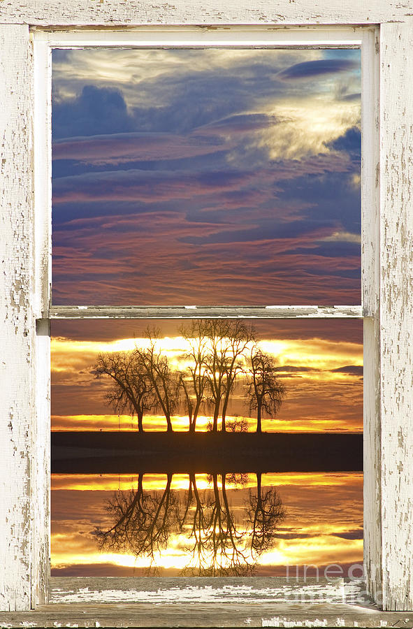 Sunrise Encounter White Picture Window Frame View Photograph by James BO Insogna