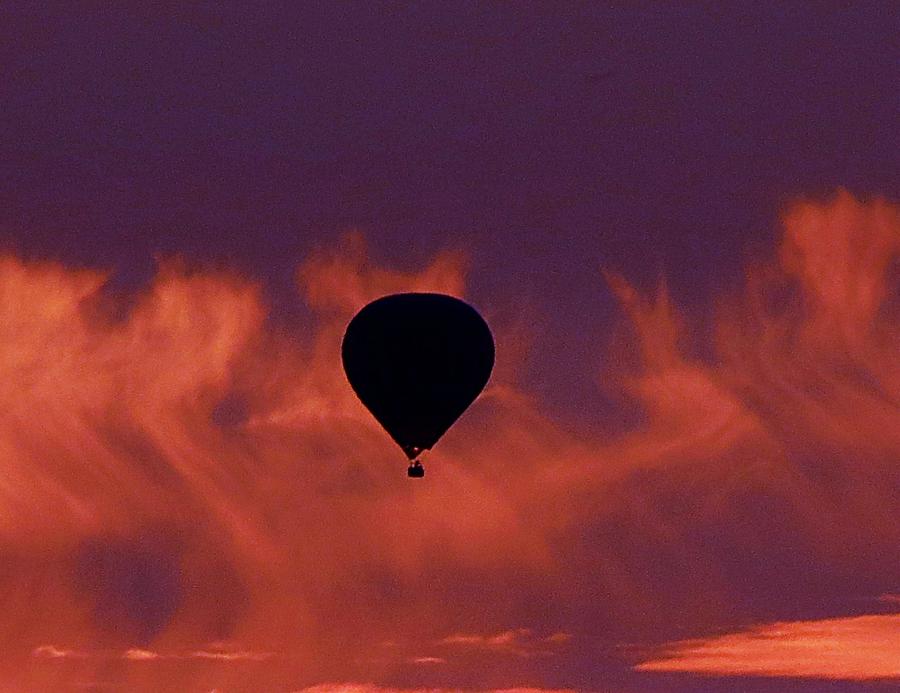 Sunrise Flight Photograph by Desert Serenity