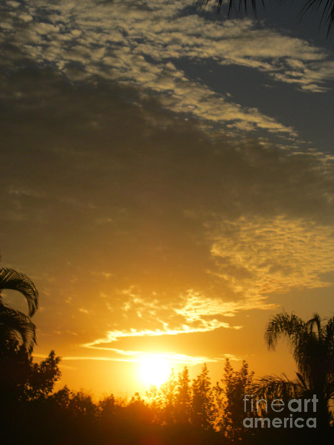Sunrise. Florida Photograph by Oksana Semenchenko