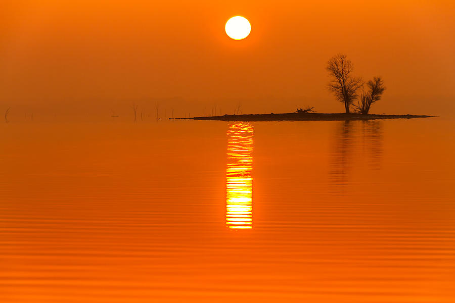 Nature Photograph - Sunrise Fog on Truman Lake with an Island by Tommy Brison