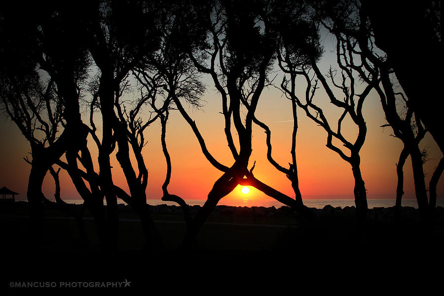 Sunrise Fort Fisher Photograph by Phil Mancuso