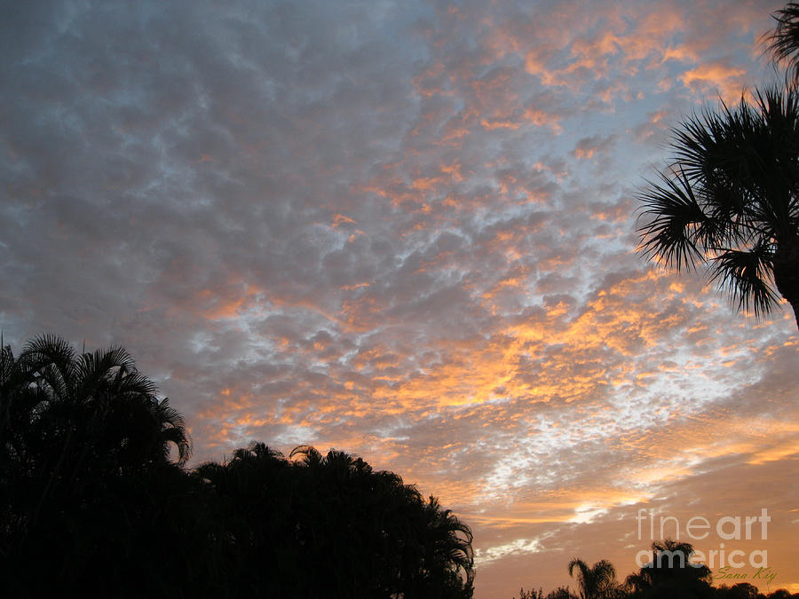 Unique Photograph - Sunrise. Fort Myers by Oksana Semenchenko