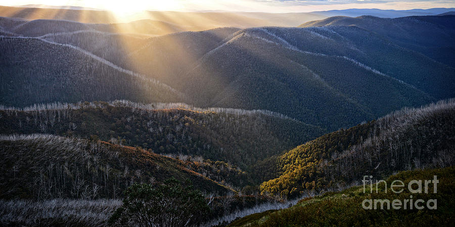 Sunrise from Blue Rag Trig Station in the Victorian High Country Australia Photograph by Peter Kneen