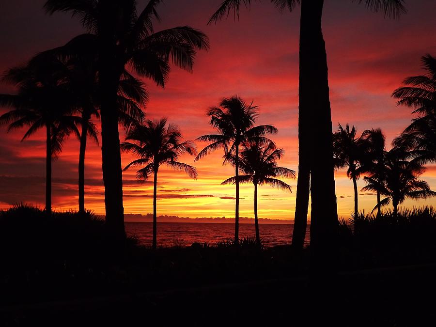 Sunrise from Palm Beach I Photograph by Rana Agaoglu - Fine Art America