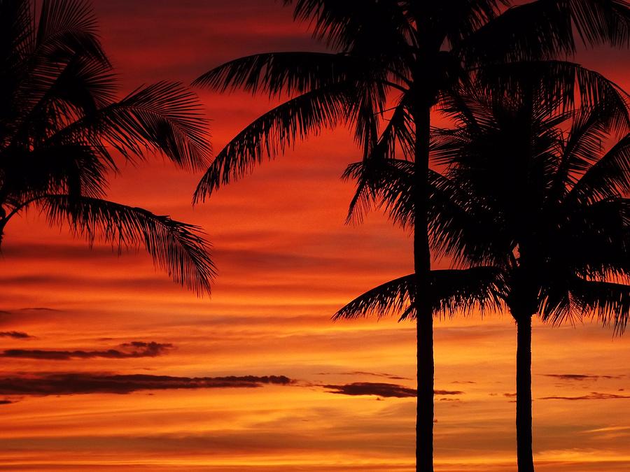 Sunrise from Palm Beach III Photograph by Rana Agaoglu - Fine Art America