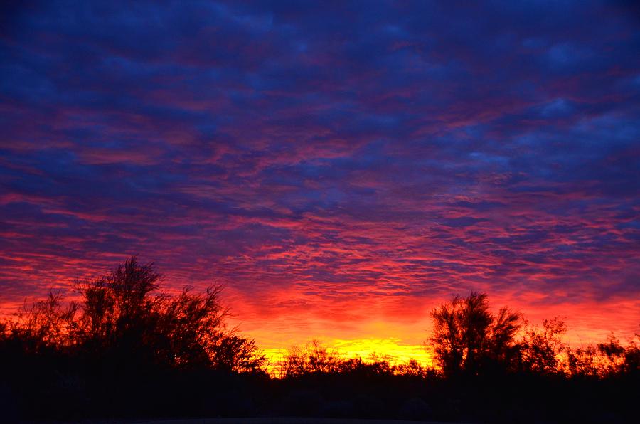 Sunrise Glory Photograph by Tina Hannaford - Pixels